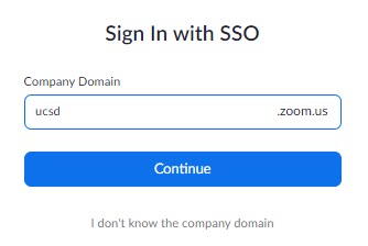 Screenshot: Domain name for SSO